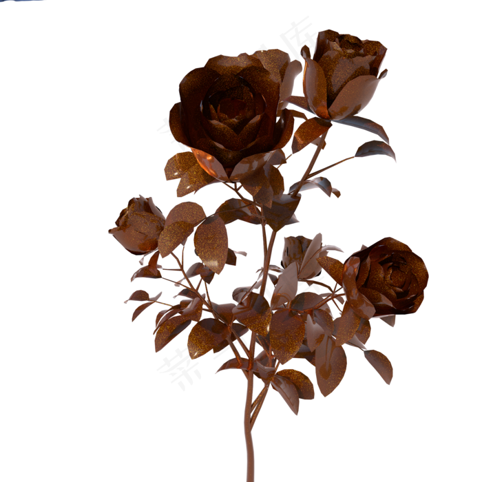 金波玫瑰花图片