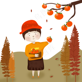 霜降黄色系女孩摘柿子硕果累累