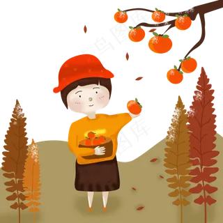 霜降黄色系女孩摘柿子硕果累累