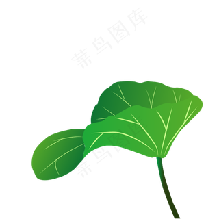 矢量夏至手绘荷叶