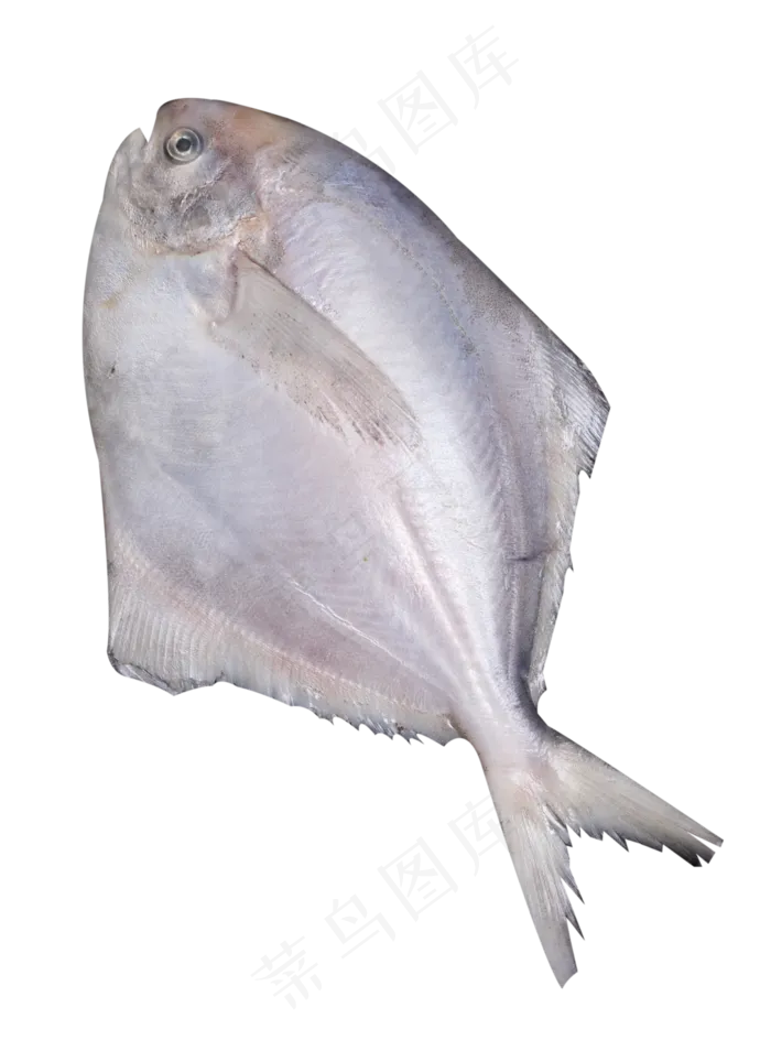 海鲜类食品海鲜食物,免抠元素(3384X4614(DPI:72))psd模版下载