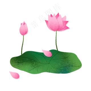 二十四节气之大暑荷叶荷花