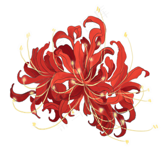 一朵红色的彼岸花