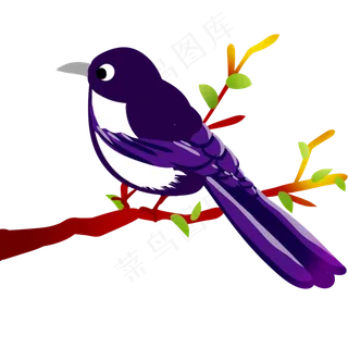 彩色喜鹊鸟类元素,免抠元素