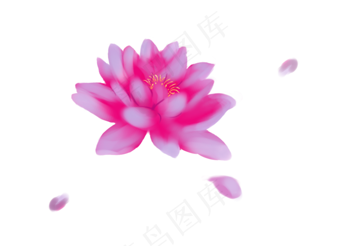 一朵荷花(1384X1006(DPI:300))psd模版下载