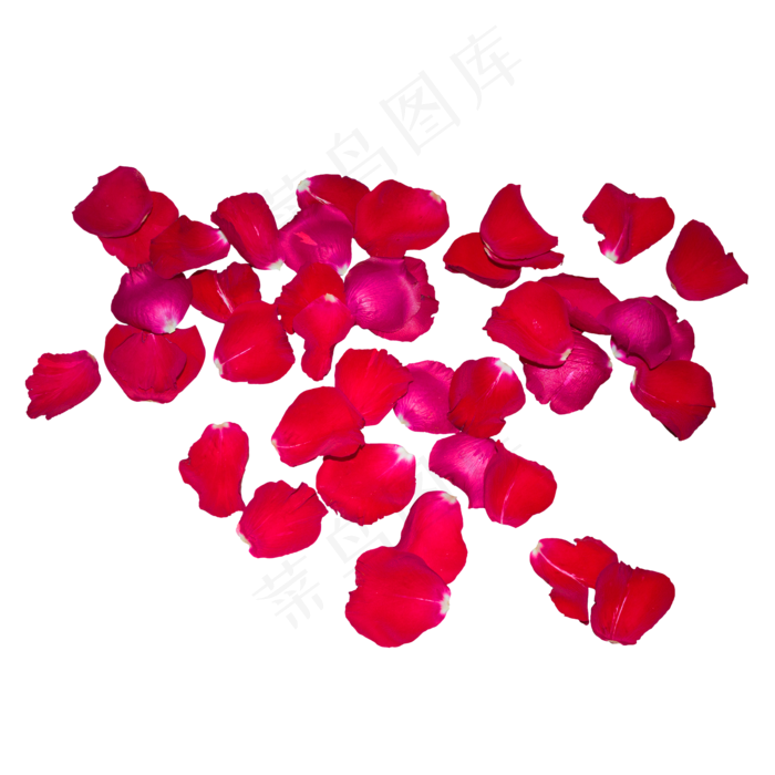 一片红色玫瑰花瓣(2000X2000(DPI:300))