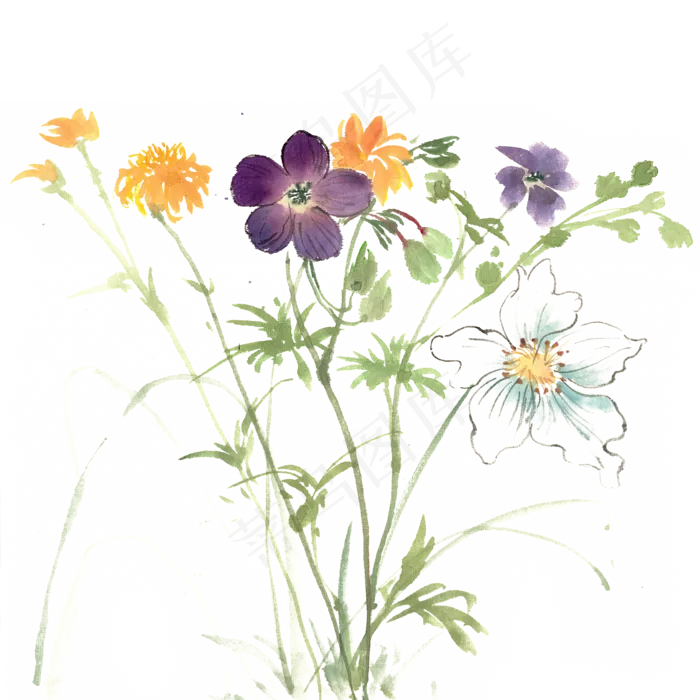 春天的花