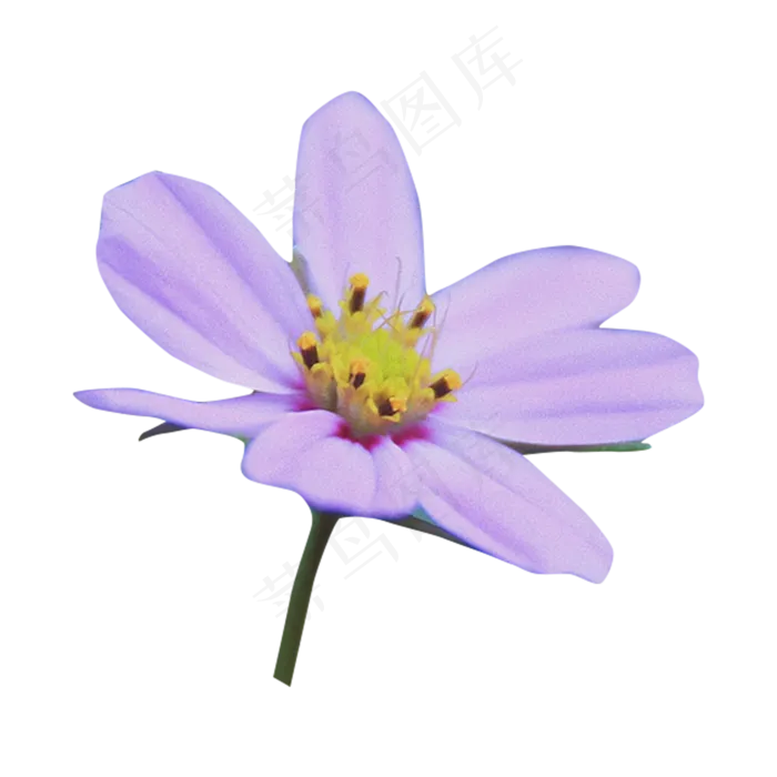 一小朵格桑花(2000X2000(DPI:300))psd模版下载