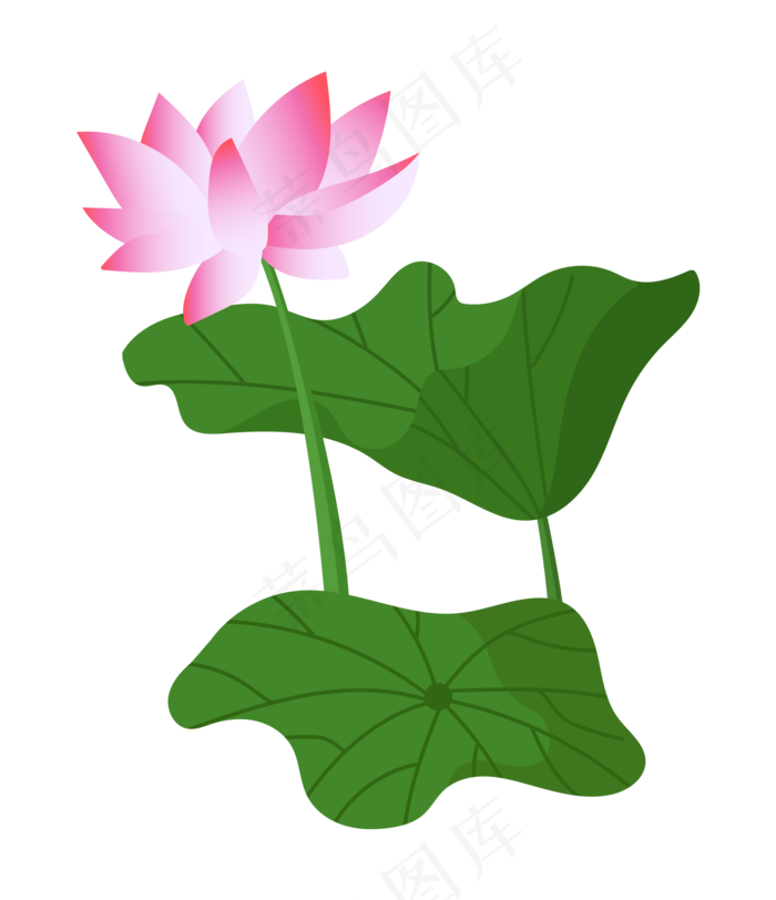 粉色绿叶荷花插图(2000*2319px 300 dpi )ai矢量模版下载