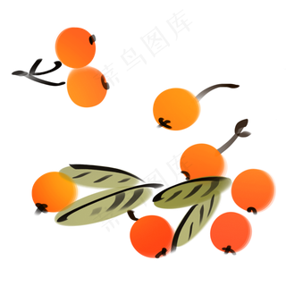 枇杷国风水墨画