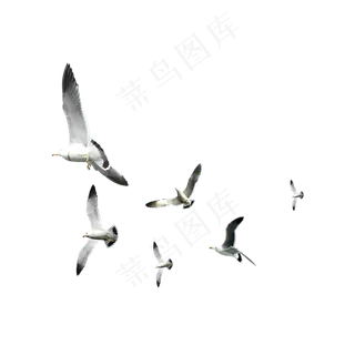 水彩大雁 水彩大雁