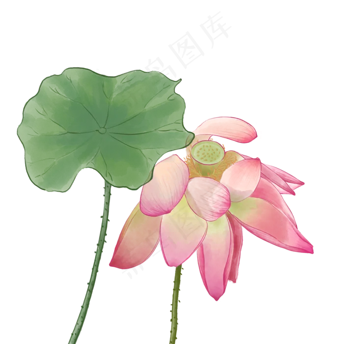 中国风荷花水彩画(2000X2000(DPI:300))psd模版下载