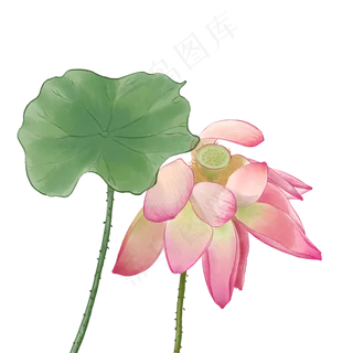 中国风荷花水彩画