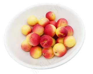 夏季水果杏