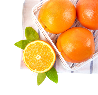 新鲜的橙子