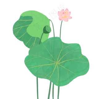 水墨荷花荷叶 水墨荷花荷叶