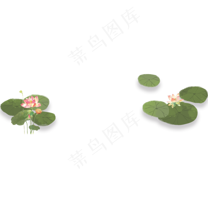 荷花荷叶(2000X2000(DPI:300))psd模版下载