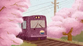 樱花节赏花春日春游肌理唯美治愈粉色电车