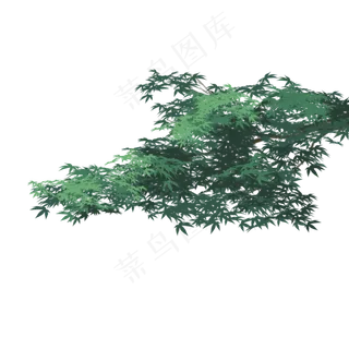 卡通植物绿叶下载