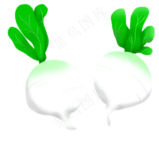 手绘新鲜蔬菜青萝卜白萝卜