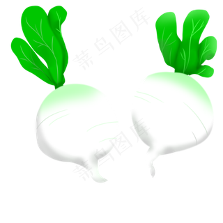 手绘新鲜蔬菜青萝卜白萝卜