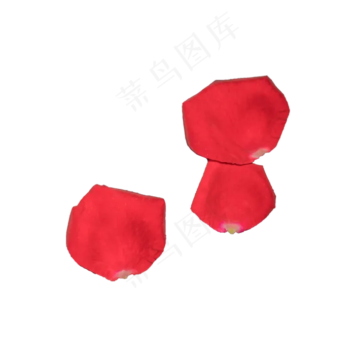 玫瑰花瓣实拍（png免抠）(2000X2000(DPI:72))psd模版下载