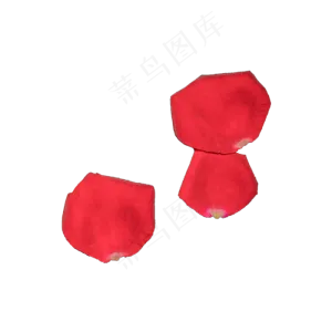 玫瑰花瓣实拍（png免抠）