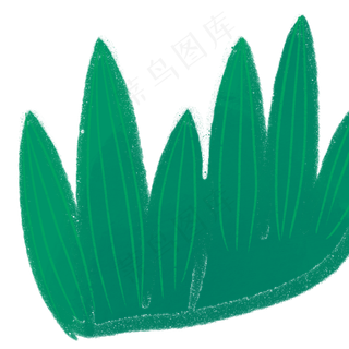 草丛春季自然植物