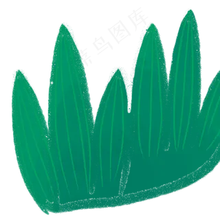 草丛春季自然植物