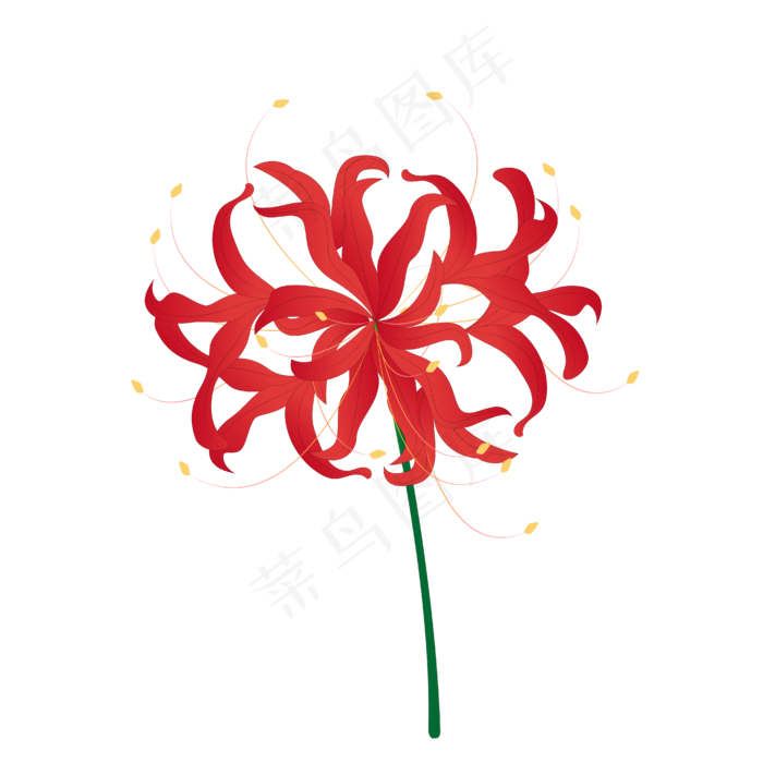 红色彼岸花(4167*4167px 300 dpi )ai矢量模版下载