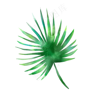 春天绿色水彩树叶