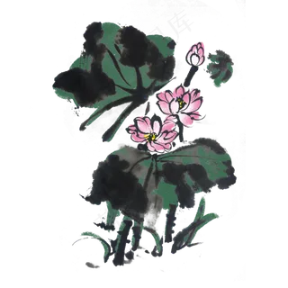 水墨荷花中国风手绘