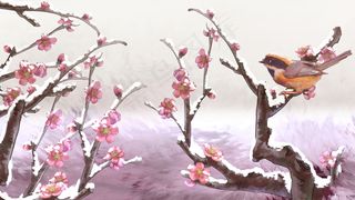 冬至大雪梅花花鸟工笔冬季风景