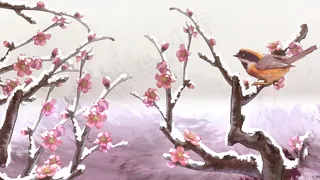 冬至大雪梅花花鸟工笔冬季风景