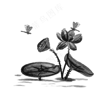 水彩水墨蜻蜓荷花png免抠透明底