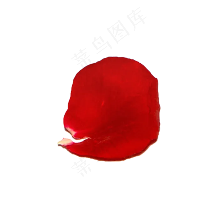 玫瑰花瓣（png免抠）(2000X2000(DPI:72))psd模版下载
