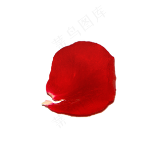 玫瑰花瓣（png免抠）