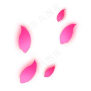 情人节玫瑰花瓣漂浮