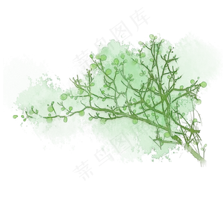 树枝绿叶草木PNG素材