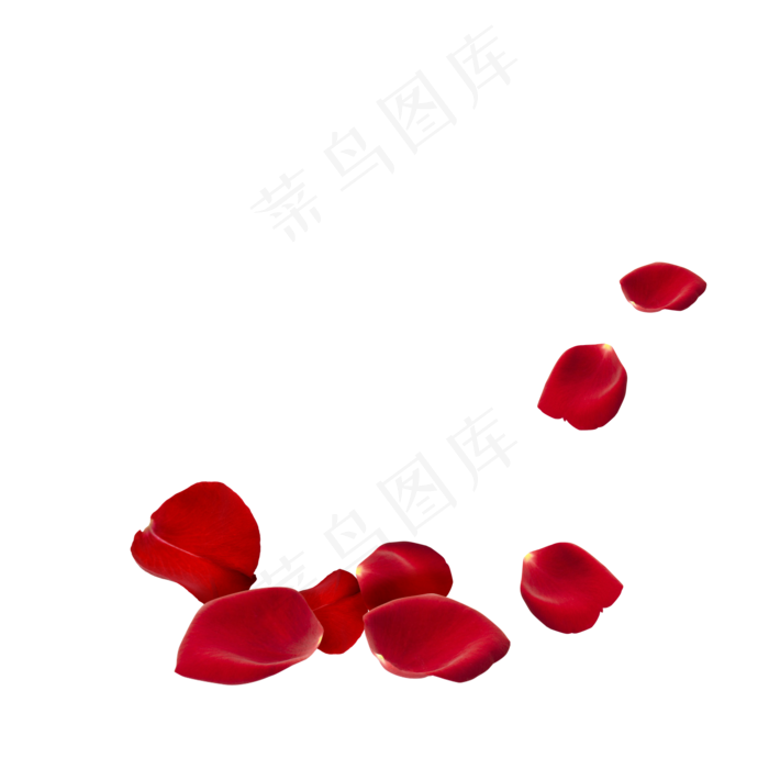 红色漂落玫瑰花瓣