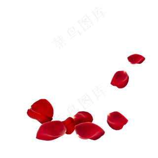 红色漂落玫瑰花瓣