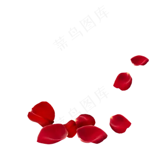 红色漂落玫瑰花瓣