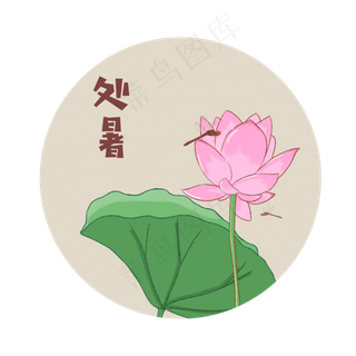 二十四节气之处暑风蜻蜓荷叶