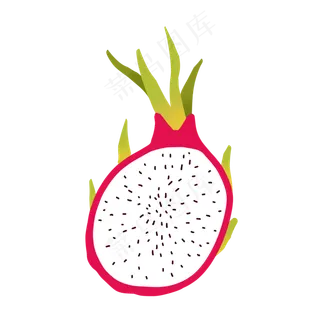 矢量扁平白心火龙果切片PNG免