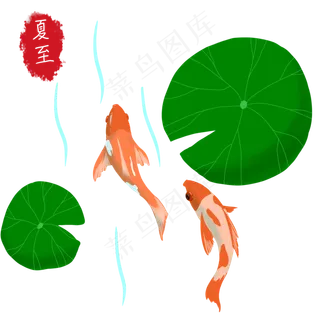夏季荷塘金鱼