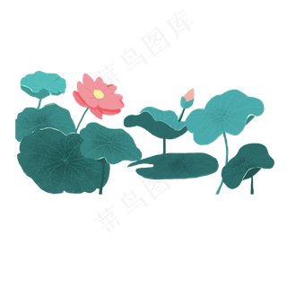 荷花图可商用元素