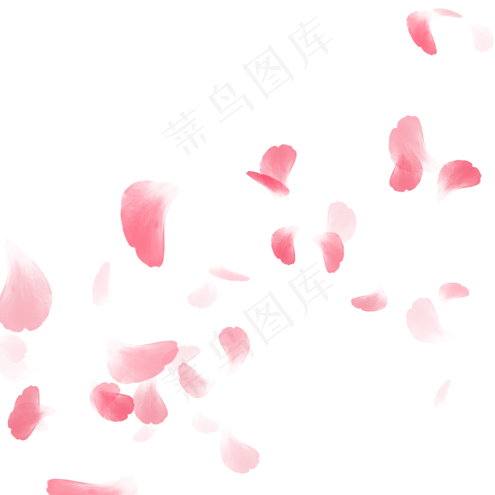 玫瑰花瓣图片素材(2000X2000(DPI:300))psd模版下载