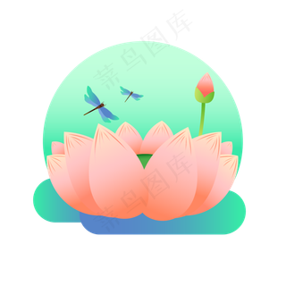 荷花蜻蜓花苞手绘唯美浪漫可商用