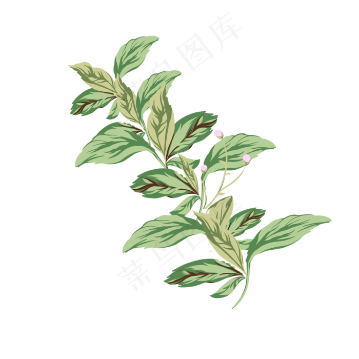 卡通手绘植物叶子免抠图