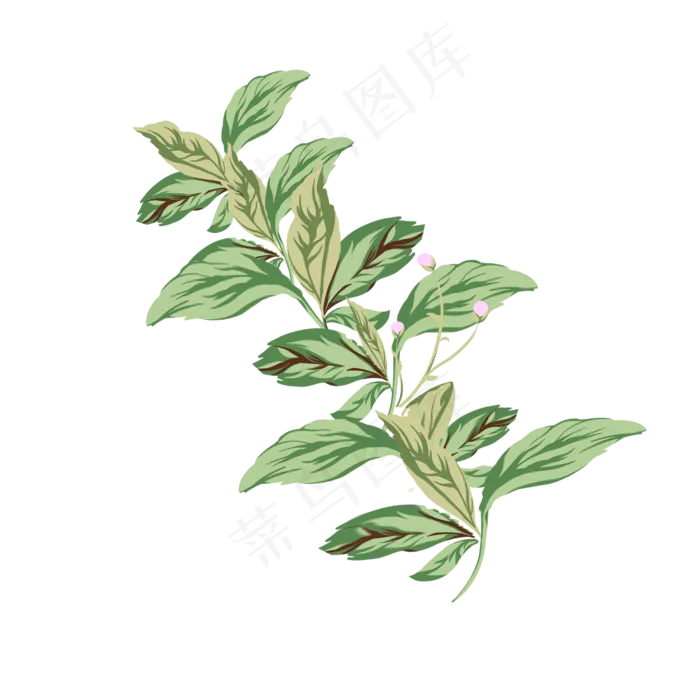 卡通手绘植物叶子免抠图(2000X2000(DPI:300))psd模版下载